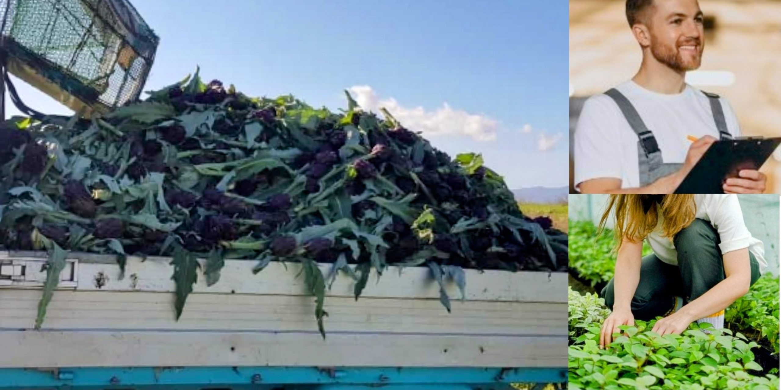 Selargius, dai banchi di scuola ai campi: al via i corsi di formazione