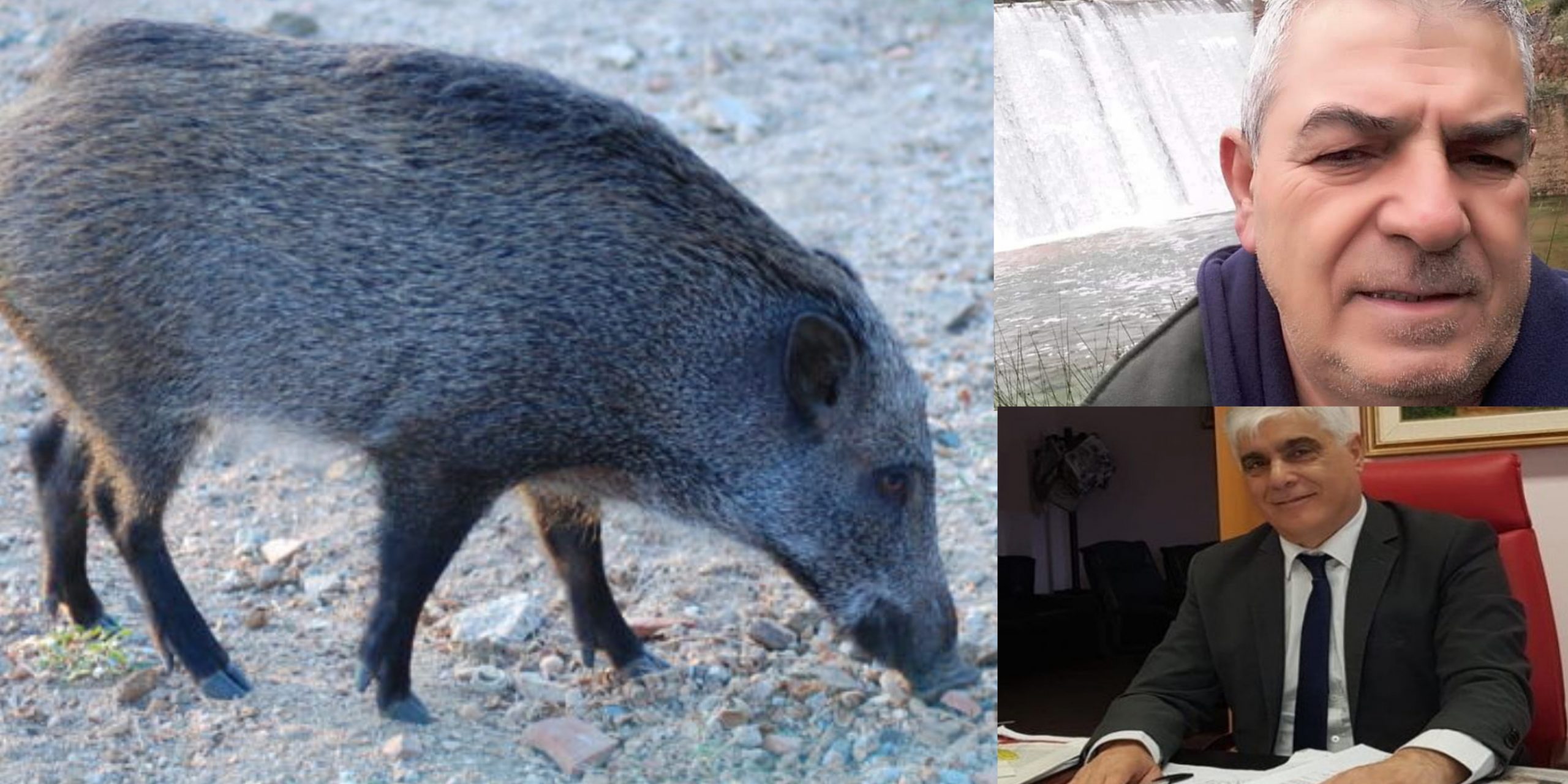 A Capoterra le doppiette guadagnano terreno: 100 ettari in più per i cacciatori