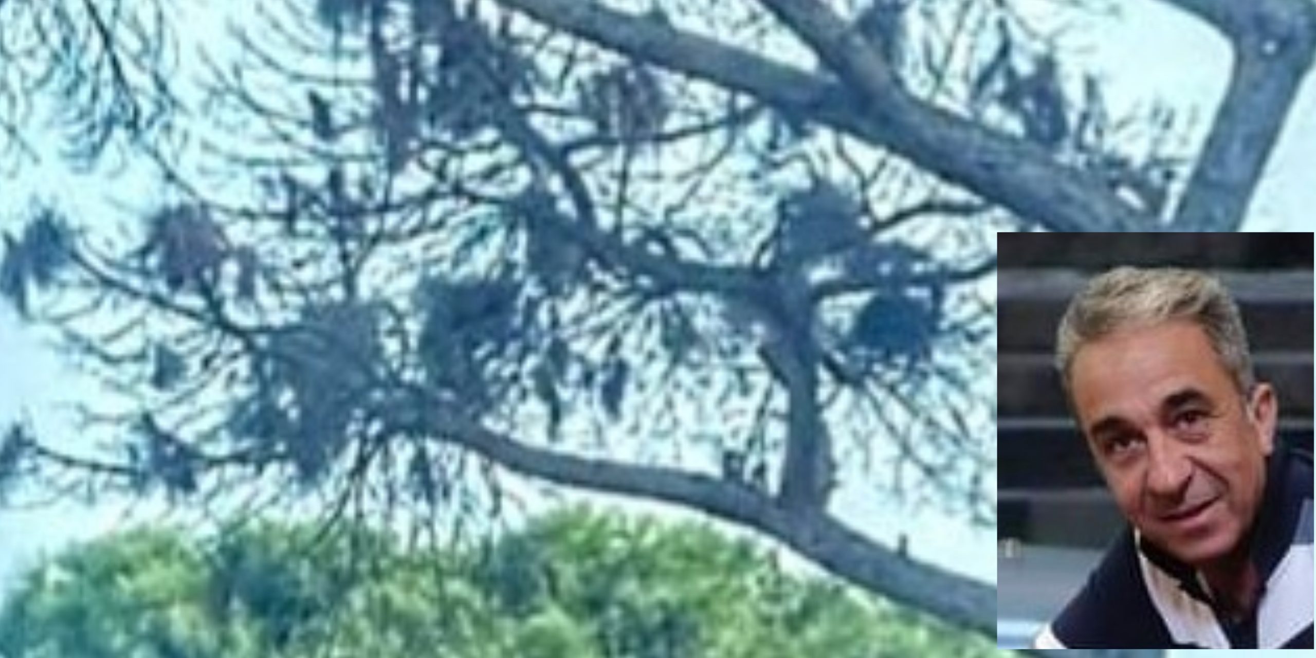 Assemini, verde pubblico “abbandonato al suo destino”