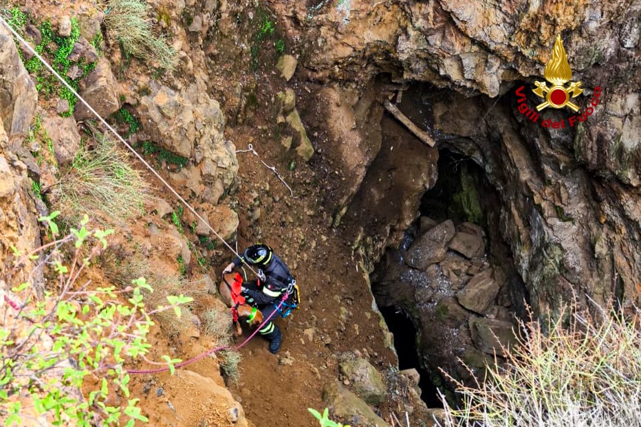 Nuxis, cane da caccia precipita in un dirupo: salvato dai vigili del fuoco
