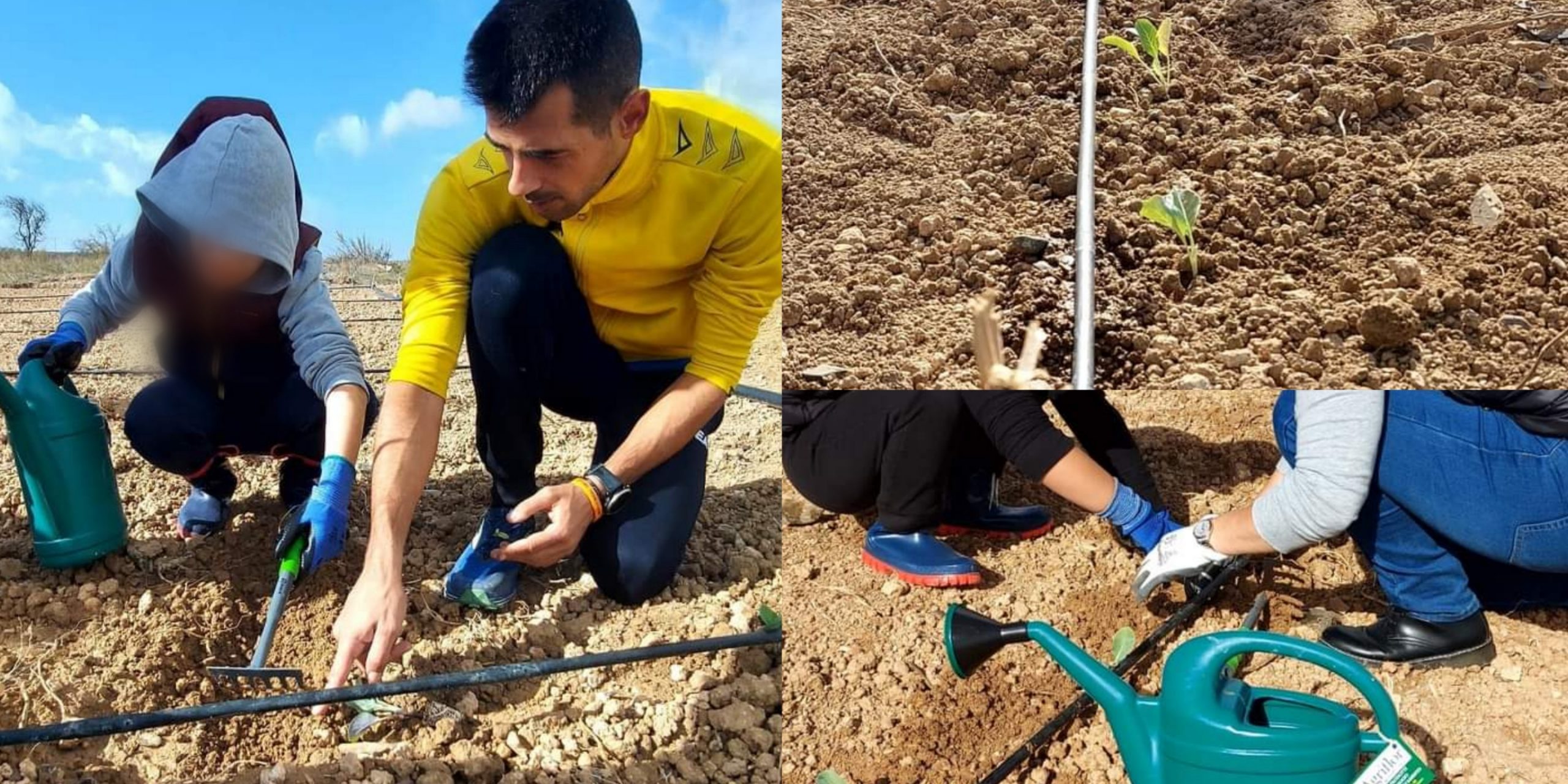 Sinnai, agricoltori speciali nelle campagne del paese: al via il progetto “Orto Condiviso”