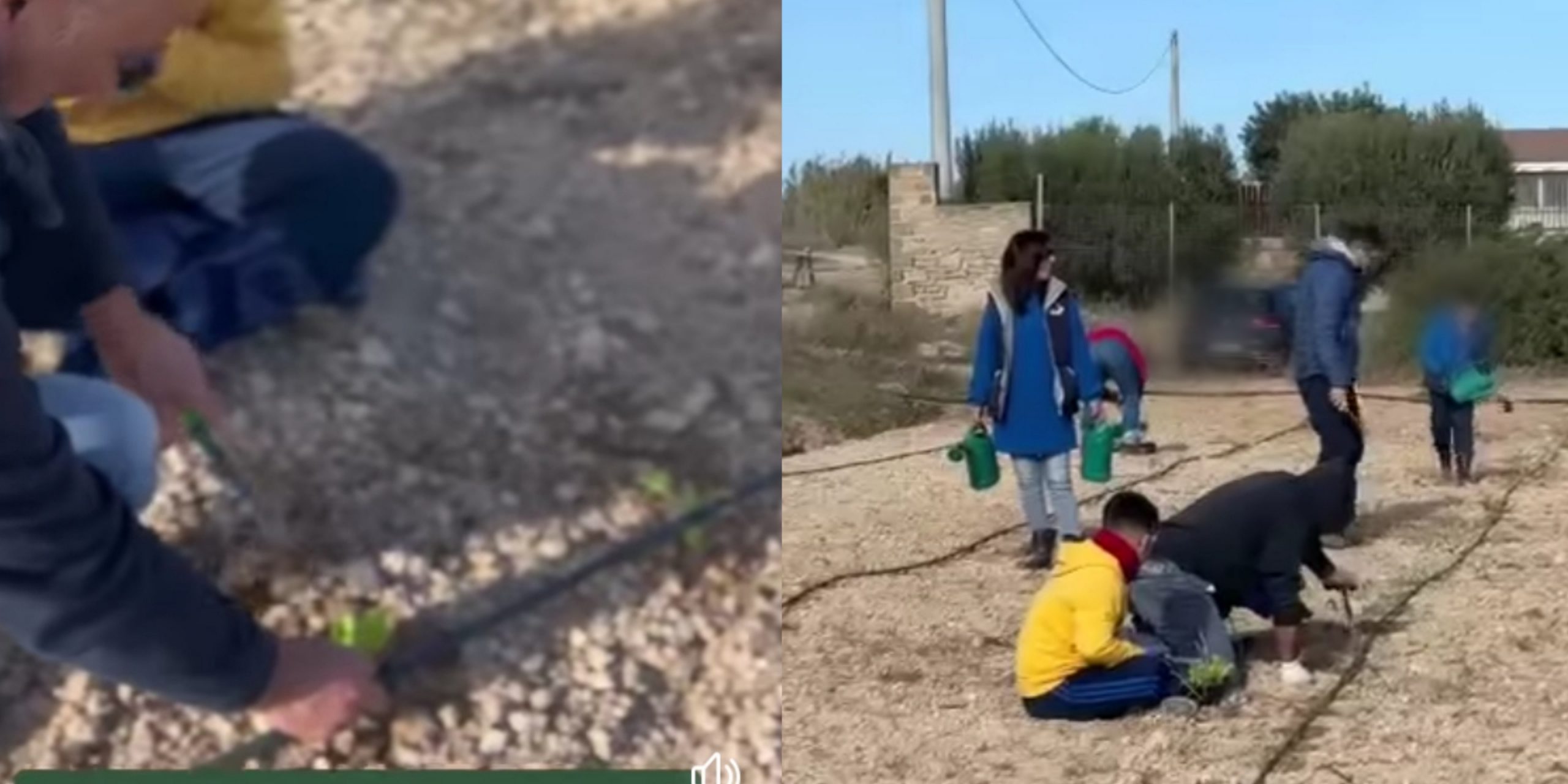 Sinnai, sparite le pedane dell’orto condiviso