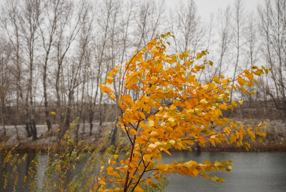 Meteo Casteddu, weekend autunnale sulla Sardegna con forte vento e massime sotto i 20 gradi