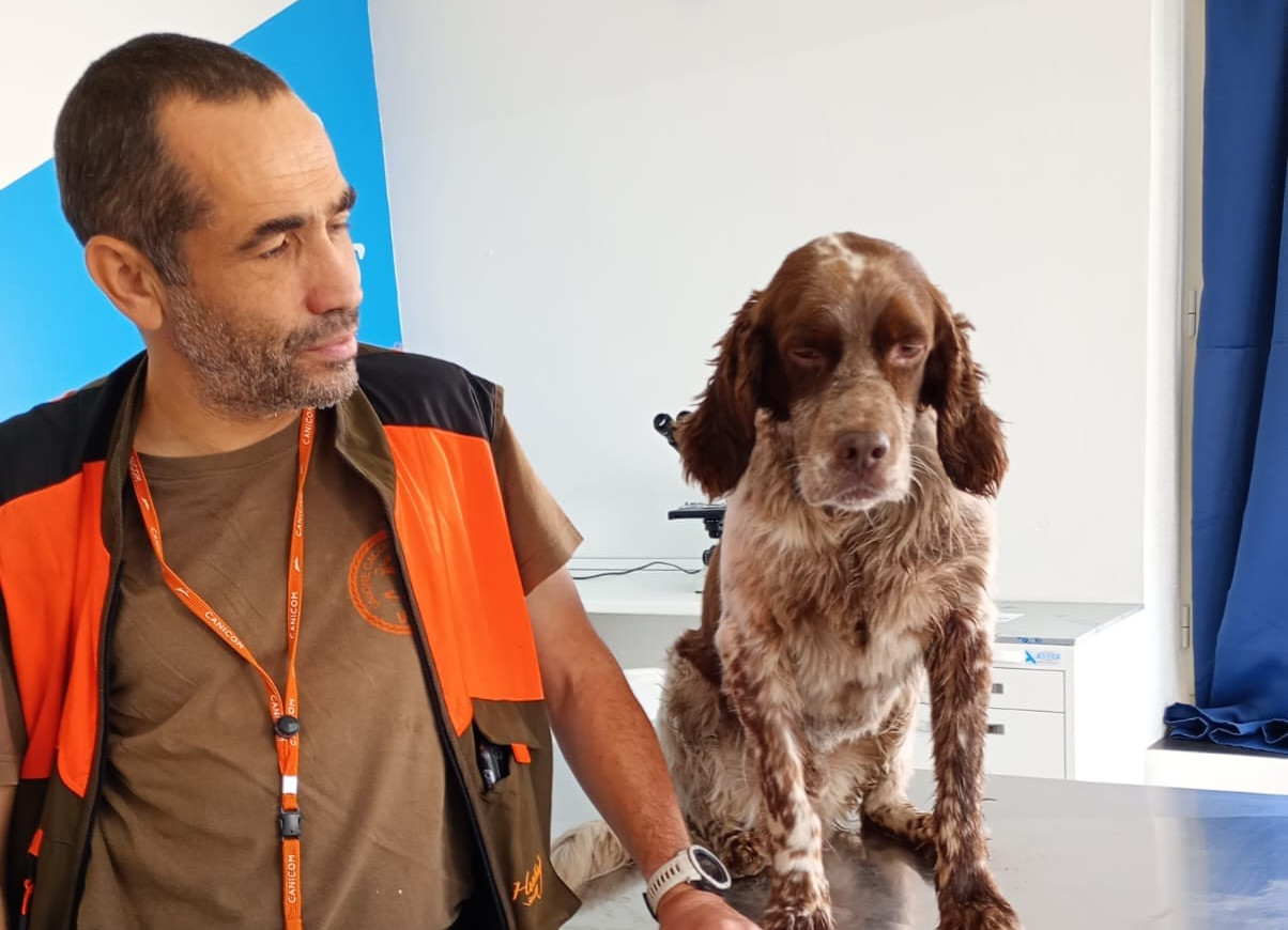 Cacciatore salva un cane a Nuoro, i veterinari: “Solo fortuna, le manovre effettuate potevano rivelarsi fatali”