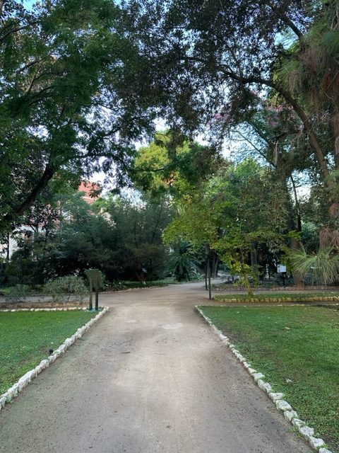 L’Orto Botanico di Cagliari compie 157 anni: ingresso gratuito mercoledì 15 novembre