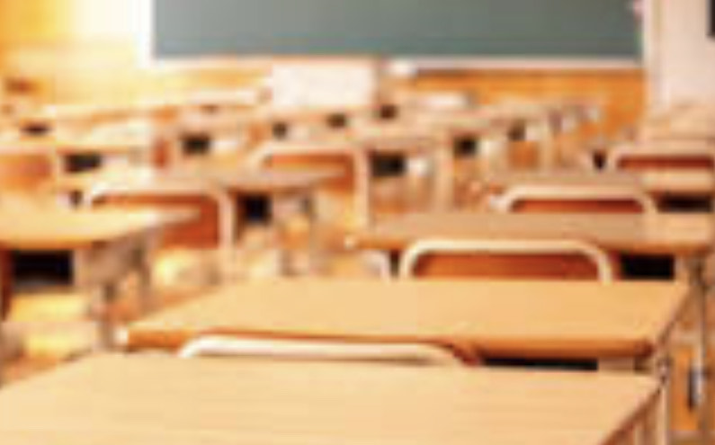 Insegna inglese e tedesco senza laurea nè diploma per 20 anni: dovrà restituire 247 mila euro