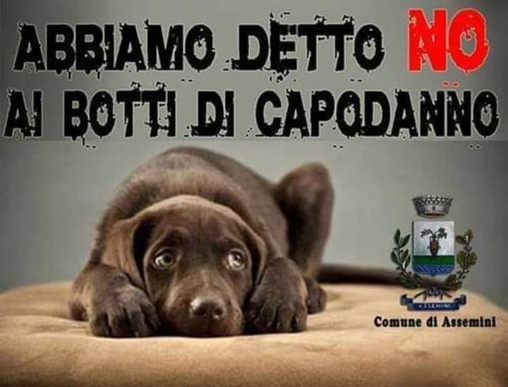 Assemini dice no ai botti di Natale e Capodanno, vietato sparare petardi