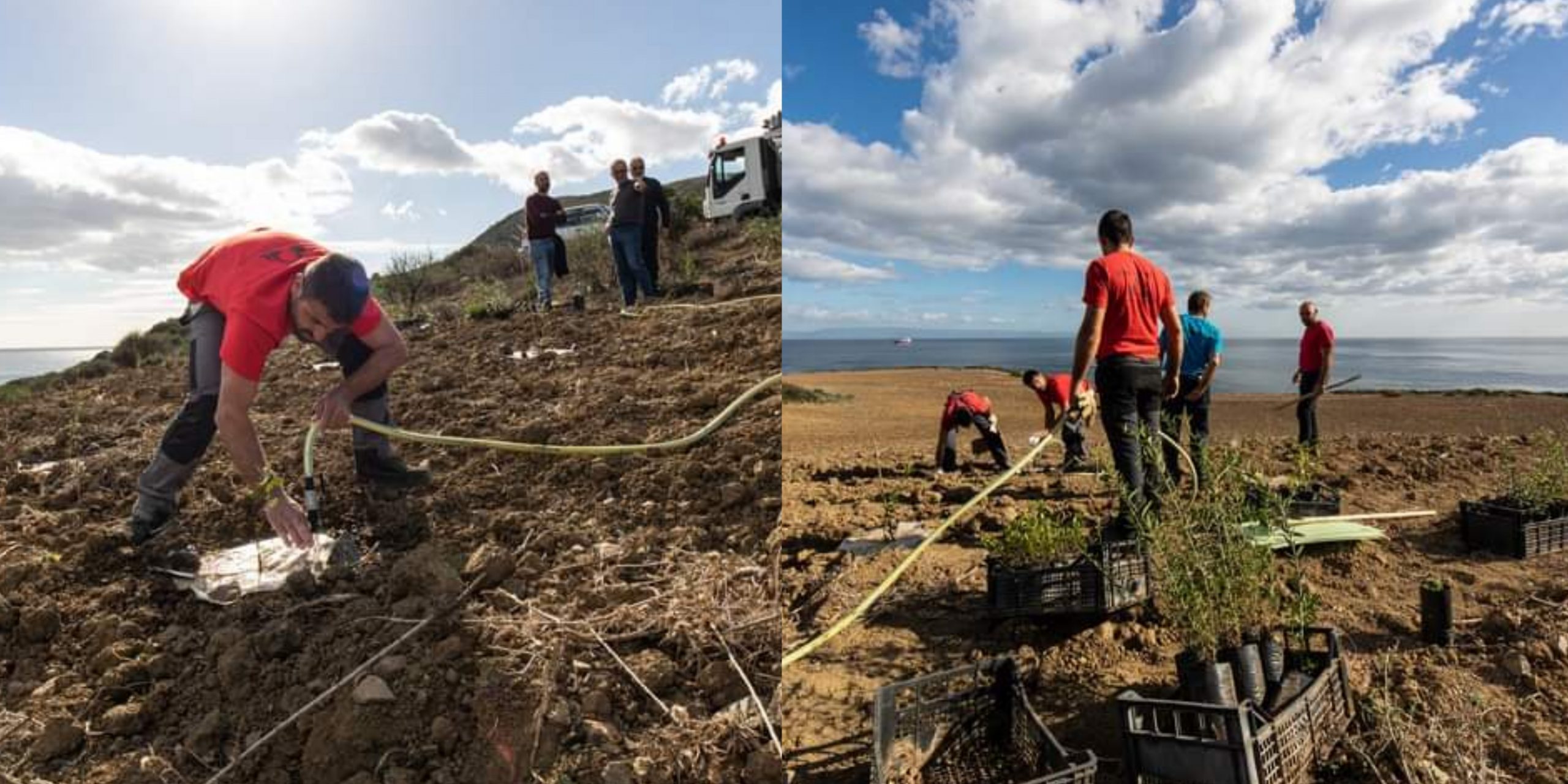 Sarroch, la foresta prende vita: messe a dimora 50 mila piante
