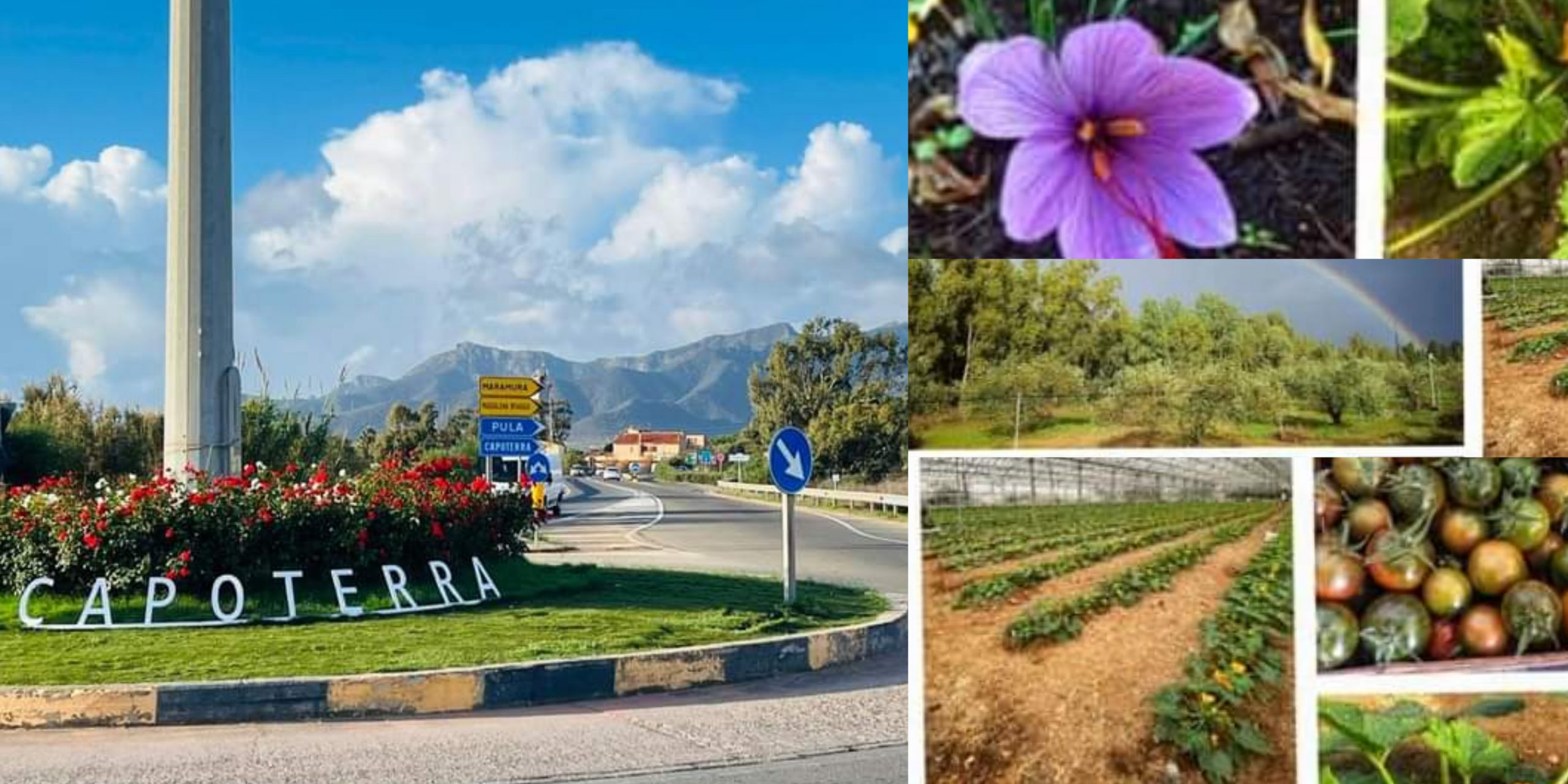 Capoterra, le eccellenze della terra e del mare in mostra per la prima volta in una fiera
