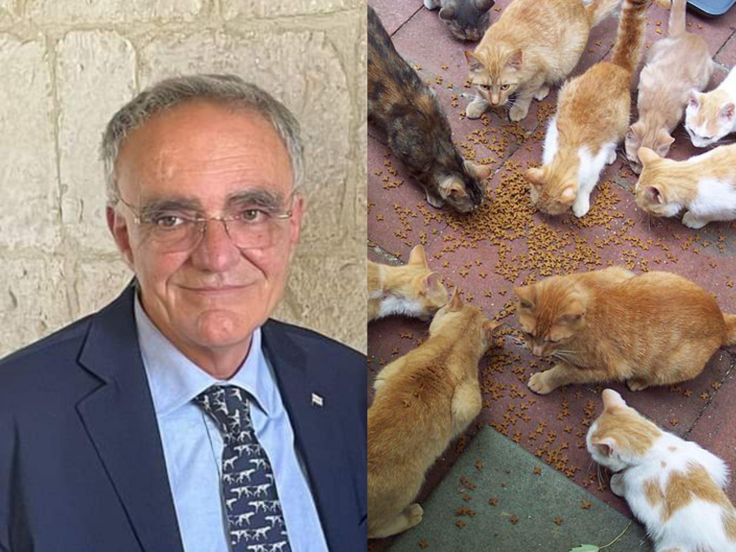 Quartu, il dietrofront: “No alla Tari più alta per chi ha molti animali in casa”