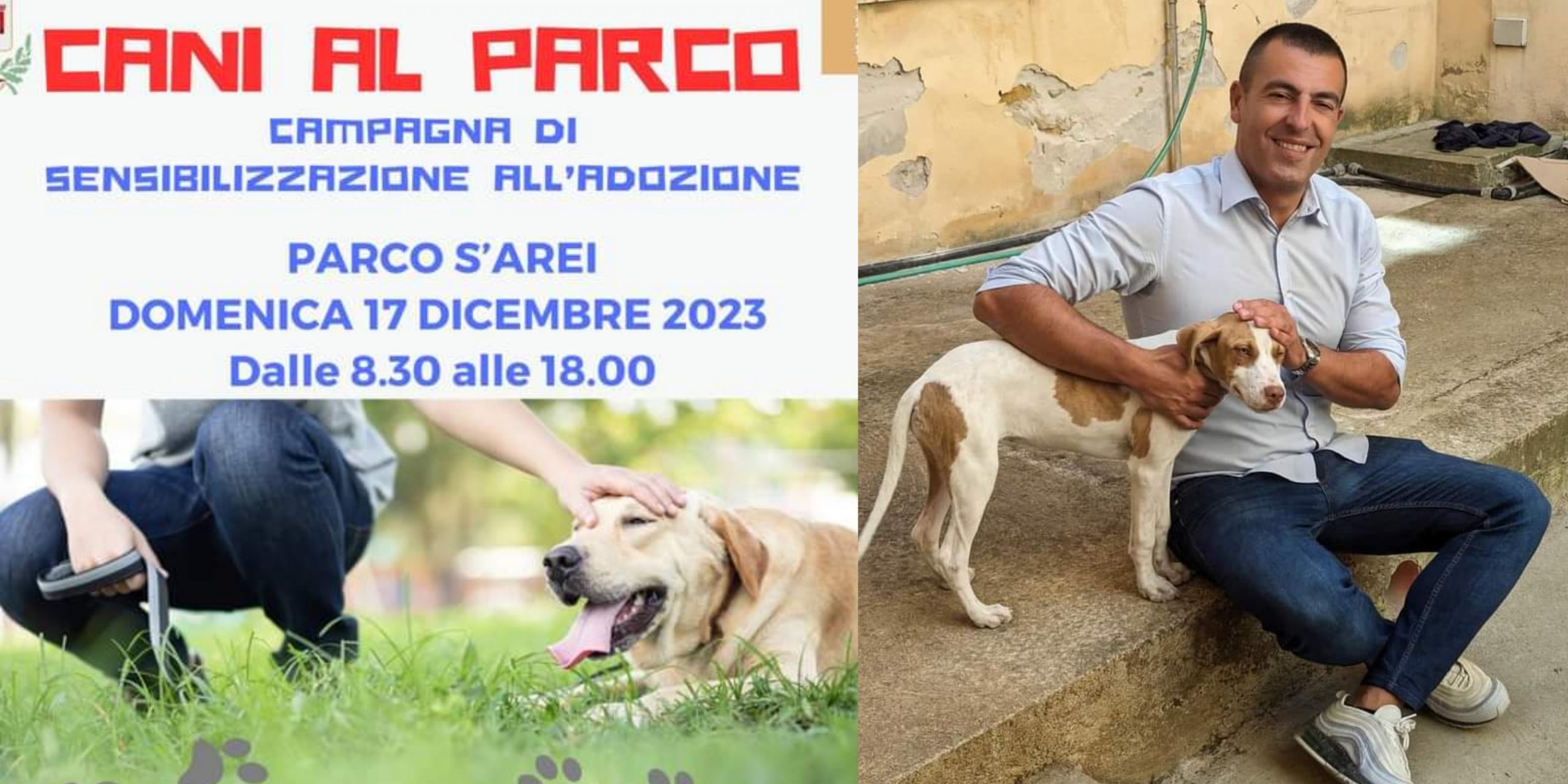 Sanluri, una giornata dedicata agli amici a quattro zampe meno fortunati