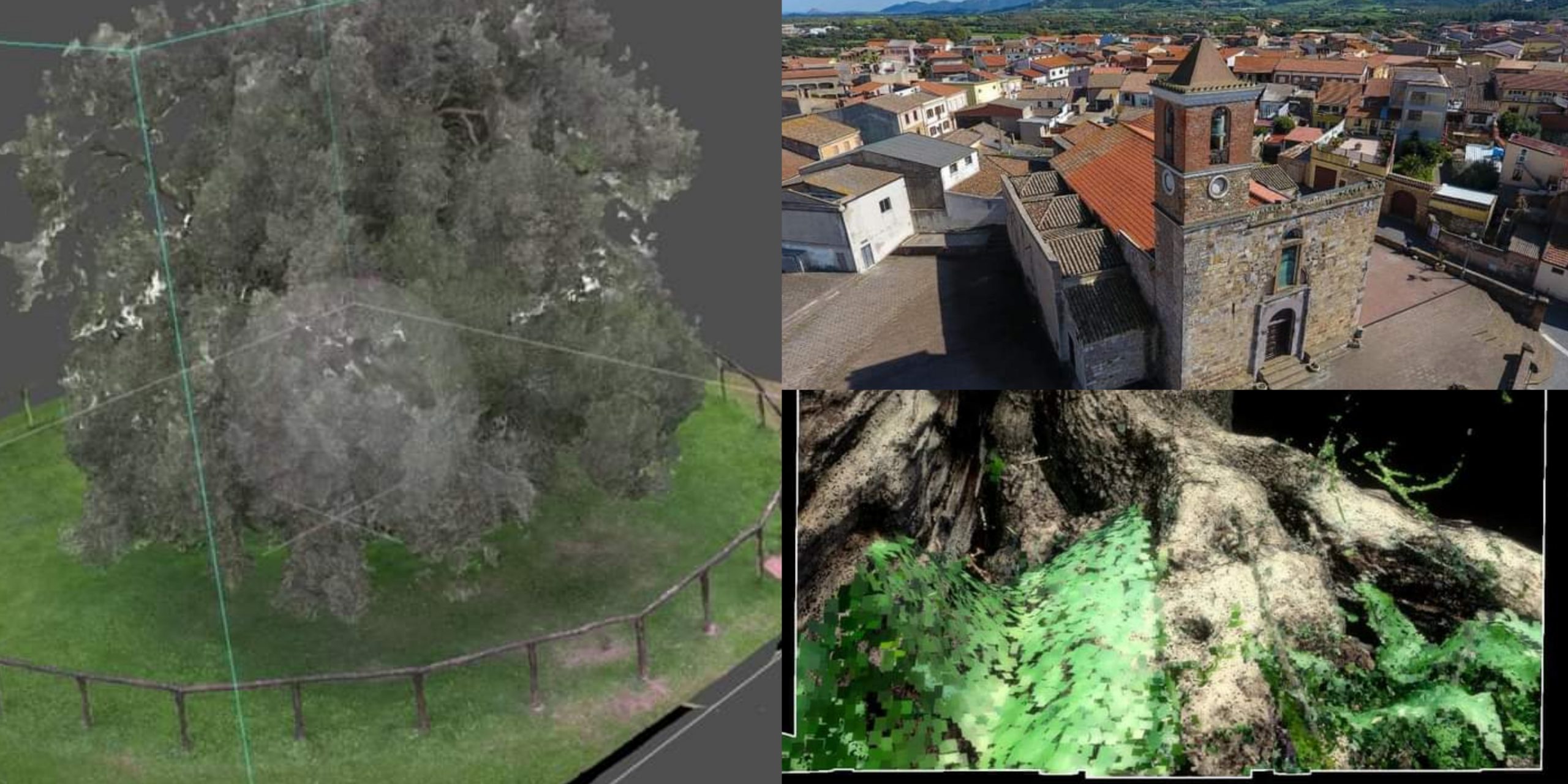 Villamassargia, gli ulivi secolari di S’Ortu Mannu protagonisti del video di Natale