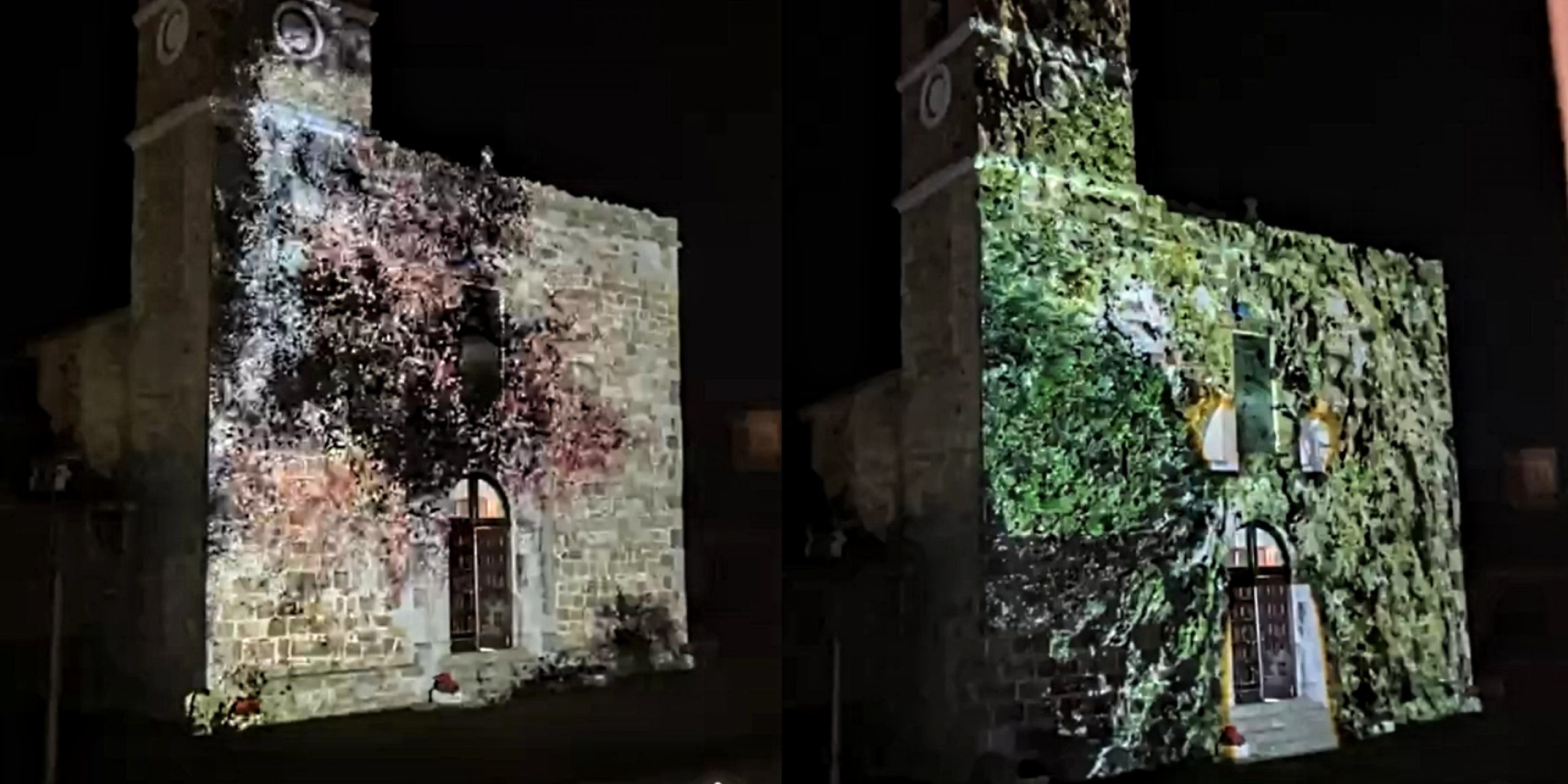 Villamassargia, gli ulivi secolari di S’Ortu Mannu si intrecciano in giochi di luci e immagini