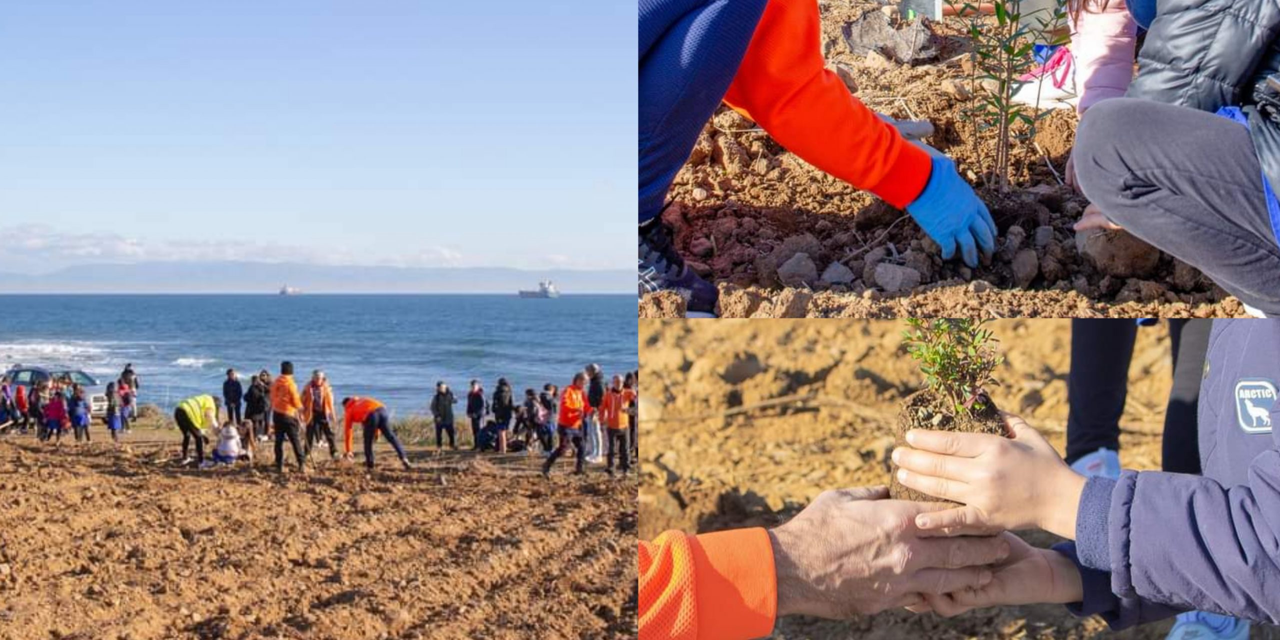 Sarroch, piantare un albero per seminare il futuro
