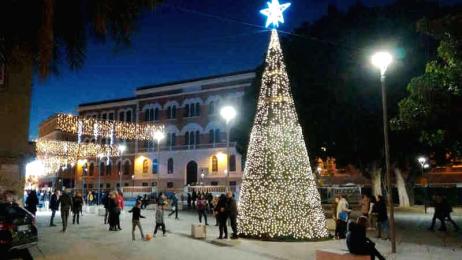 Cagliari, in piazza Garibaldi un maxi albero di Natale alto 11 metri: costo 50mila euro