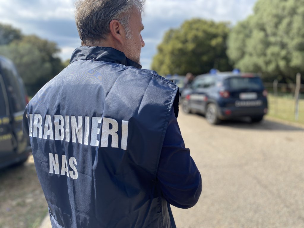 Carasau e guttiau per la Sardegna prodotti in uno scantinato con larve: sequestri e multe