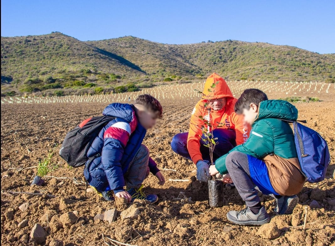 Foreste urbane: 67 mila nuove piante a Capoterra, Sarroch e Pula