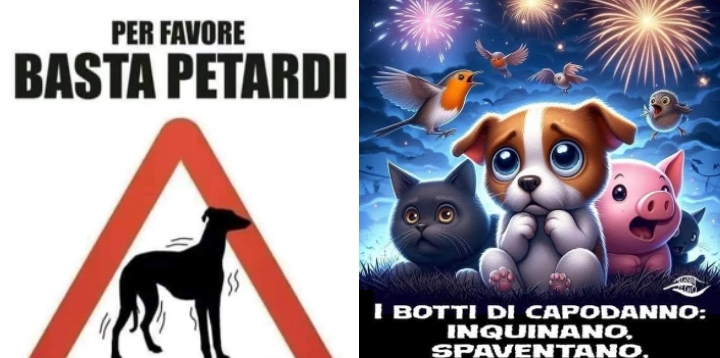 Tutela degli animali e delle persone fragili: Settimo dice no ai botti di Capodanno