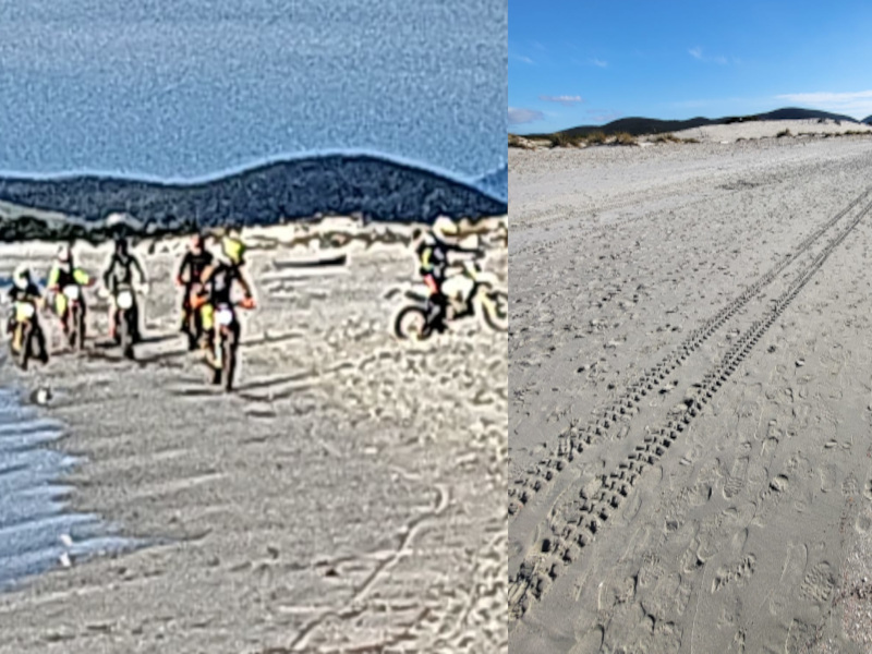 Sant’Anna Arresi, scempio accanto alle dune di Porto Pino: “Motocross di gruppo sulla spiaggia”