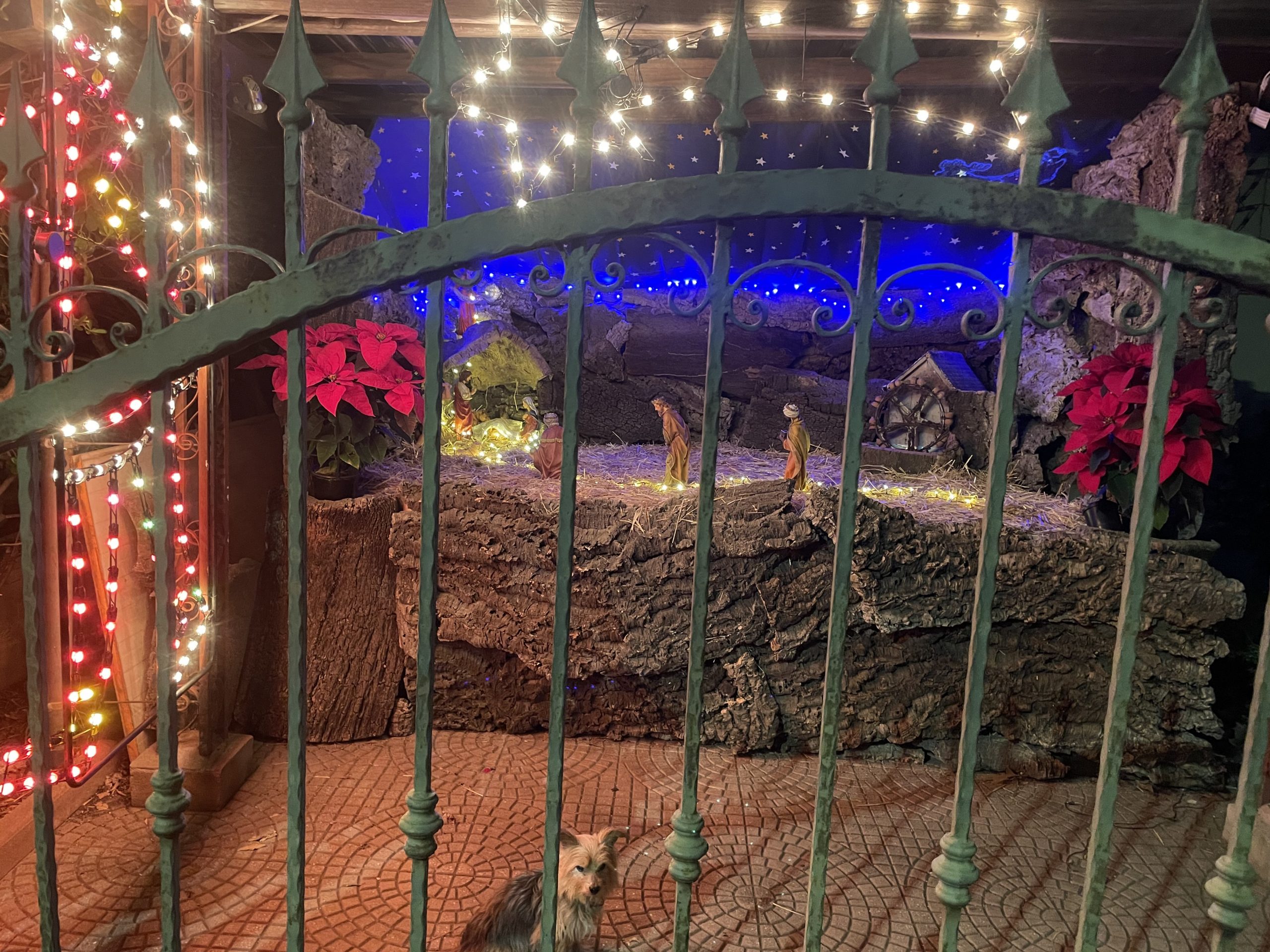 Concorso “Le migliori luminarie in Sardegna 2023”: casa Puddu-Atzeni a Capoterra