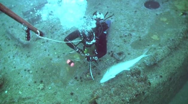 Pesca di notte nel golfo di Cagliari, pescatore scoperto e stangato: duemila euro di multa