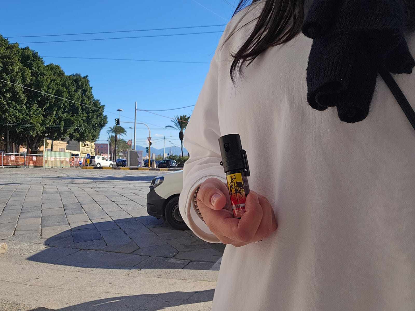 Sos sicurezza al porto di Cagliari: “Inseguita da due uomini, mi sono dovuta nascondere dietro un cespuglio”