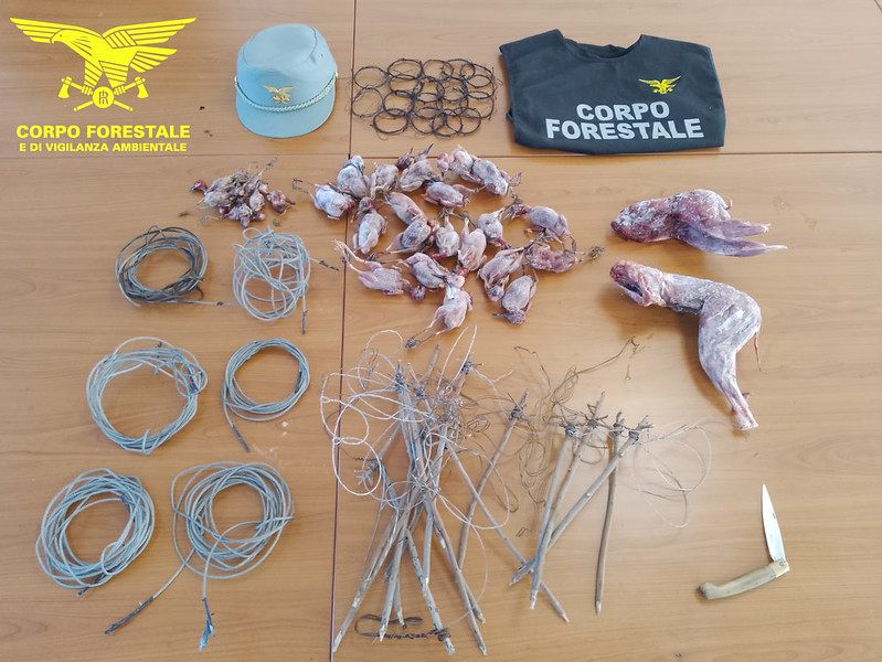Uccellagione e bracconaggio, due cacciatori denunciati a Pula e Villasalto