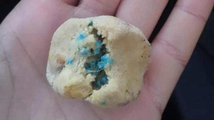 Capoterra, polpette avvelenate sparse nelle campagne