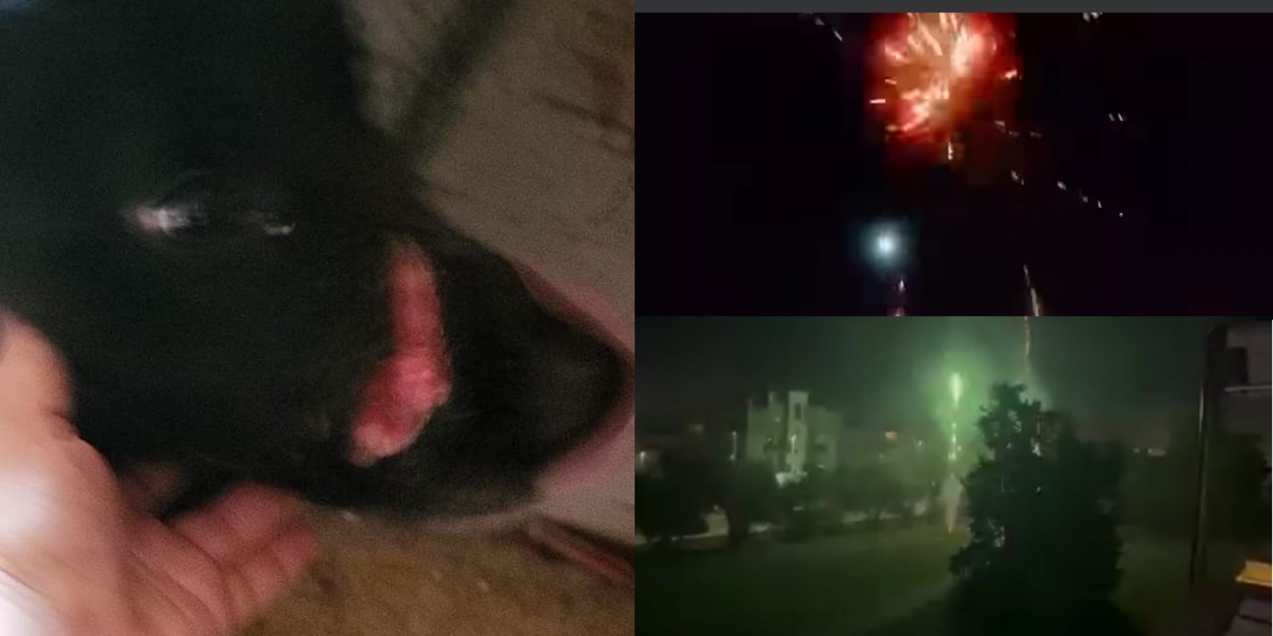 Impazzisce a causa dei botti a Quartu, cane si lancia contro un vetro: ferito gravemente