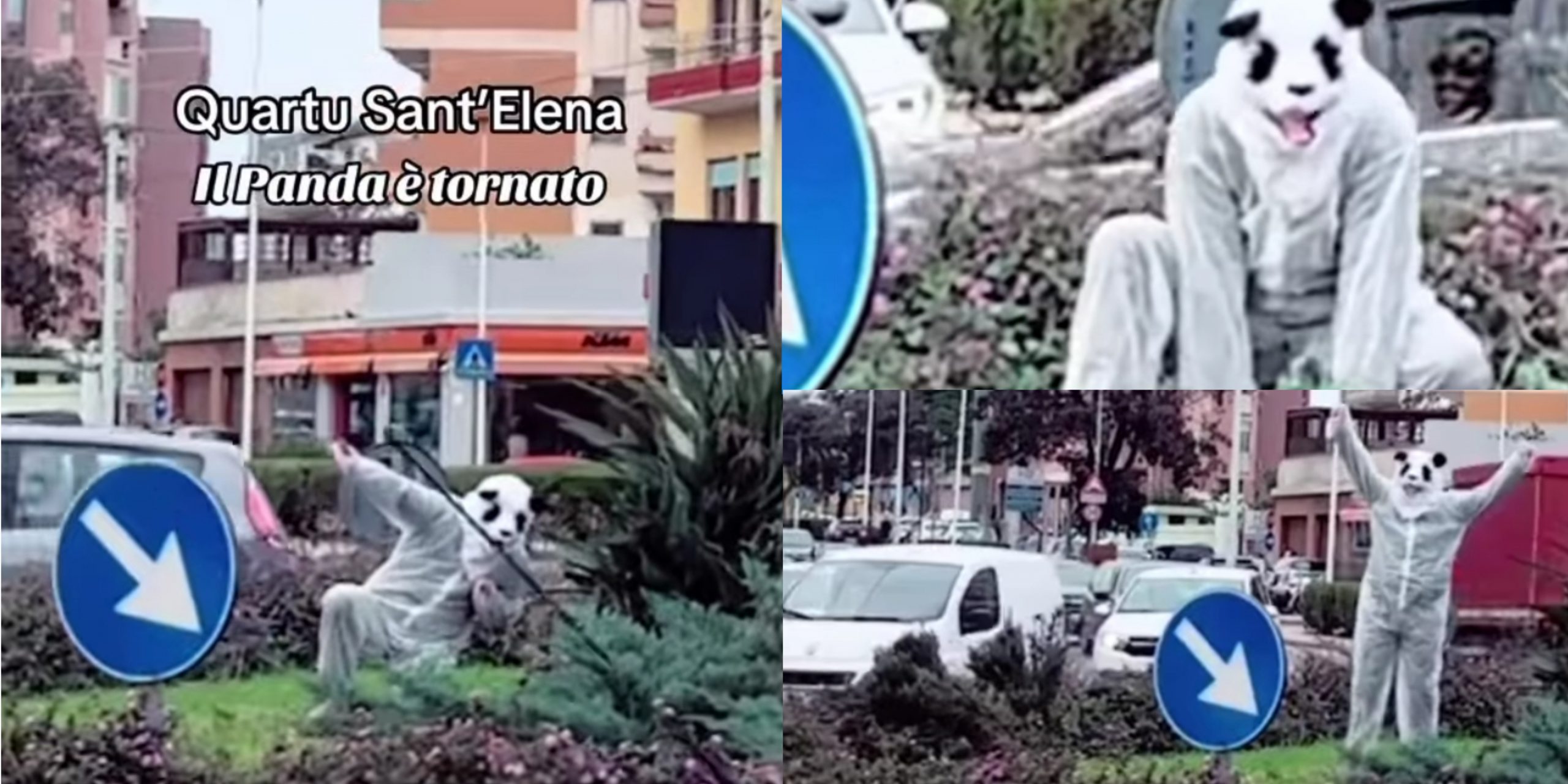 La sua missione? “Portare un po’ di allegria a chi ha amato il panda-Natale a Quartu”