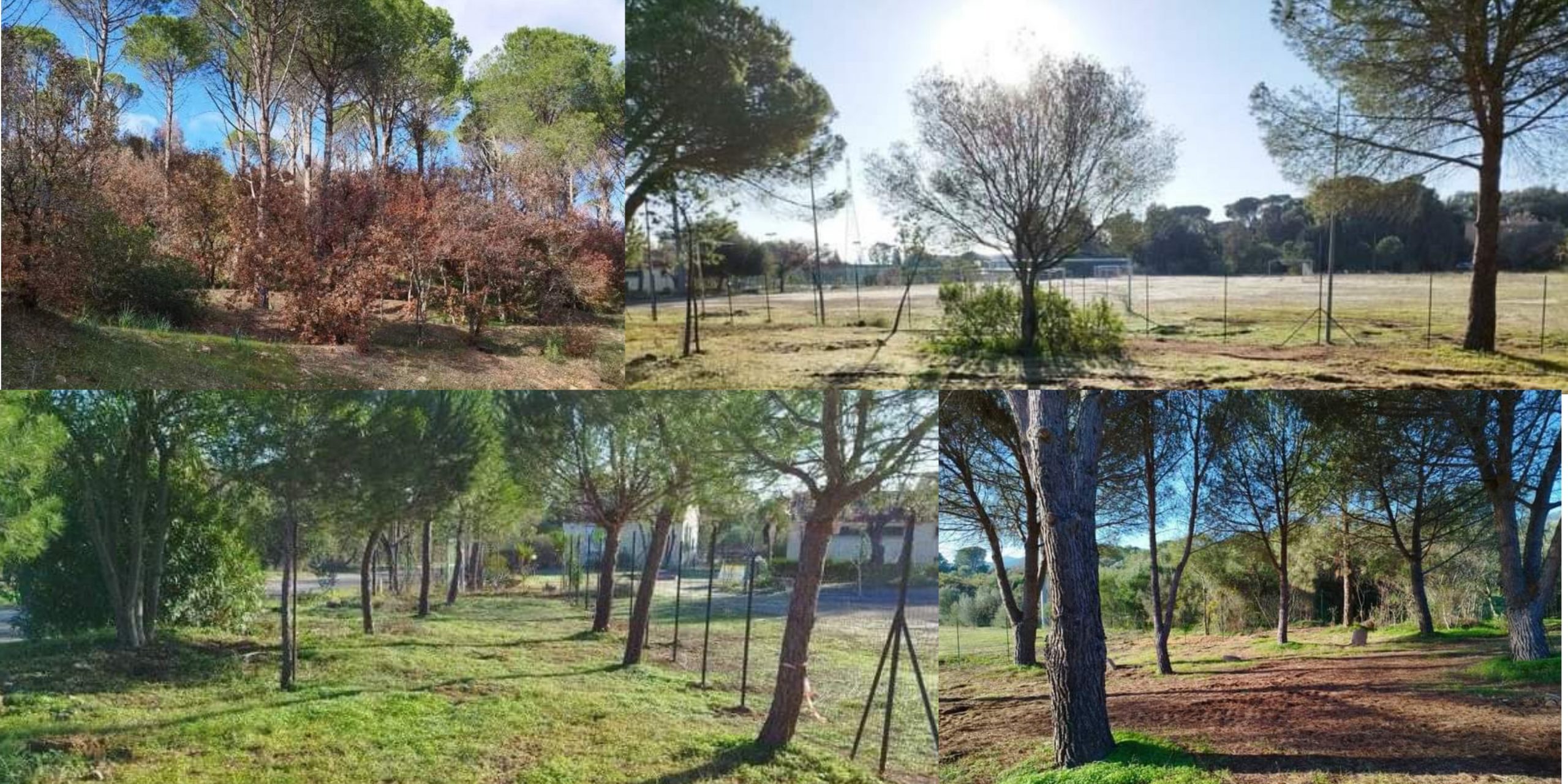 Pista pedonale e area relax nel verde: nuovo look per Poggio dei Pini