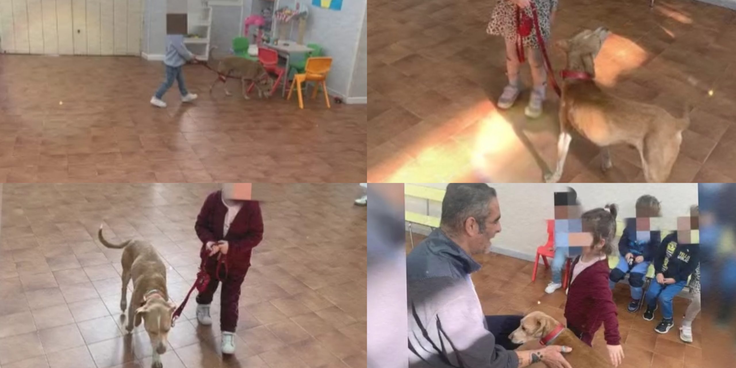 Cagliari, a scuola di educazione e rispetto verso gli animali