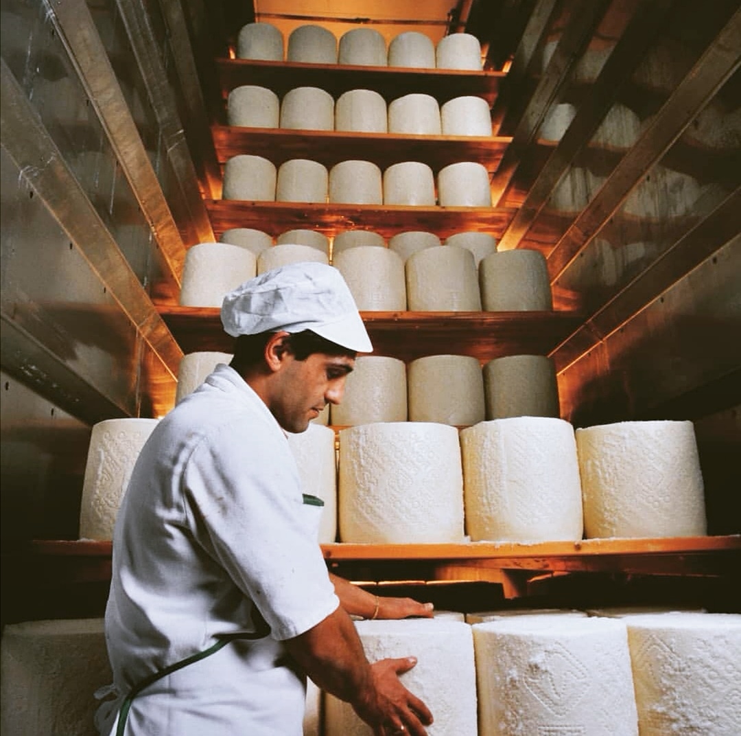 Pecorino Romano, più facile l’accesso al credito per le imprese del Consorzio