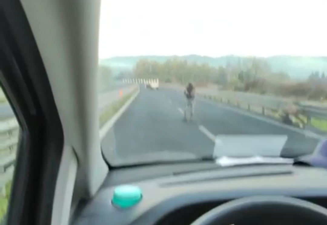 Assalto sulla 131, i banditi armati minacciano un autista: “Metti il camion di traverso”