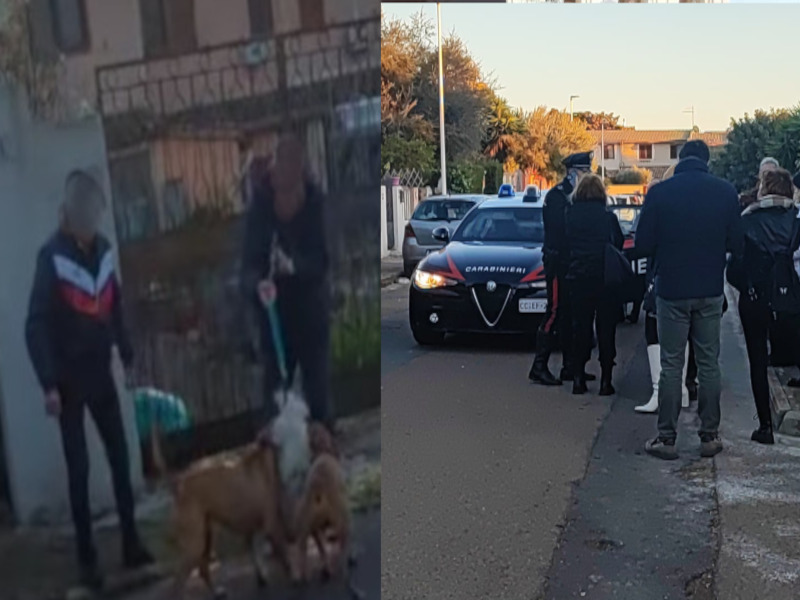 Incubo pitbull sul litorale di Quartu, il padrone: “Sono usciti per colpa di una serratura rotta, non succederà più”