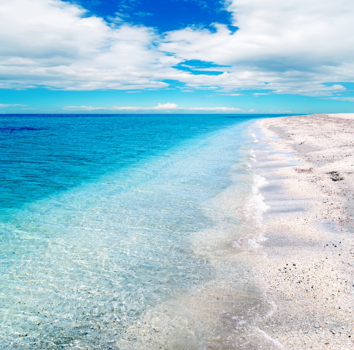 Cabras, pescano di frodo 6 kg di spigole nell’area protetta di Maimoni: denunciati due sub