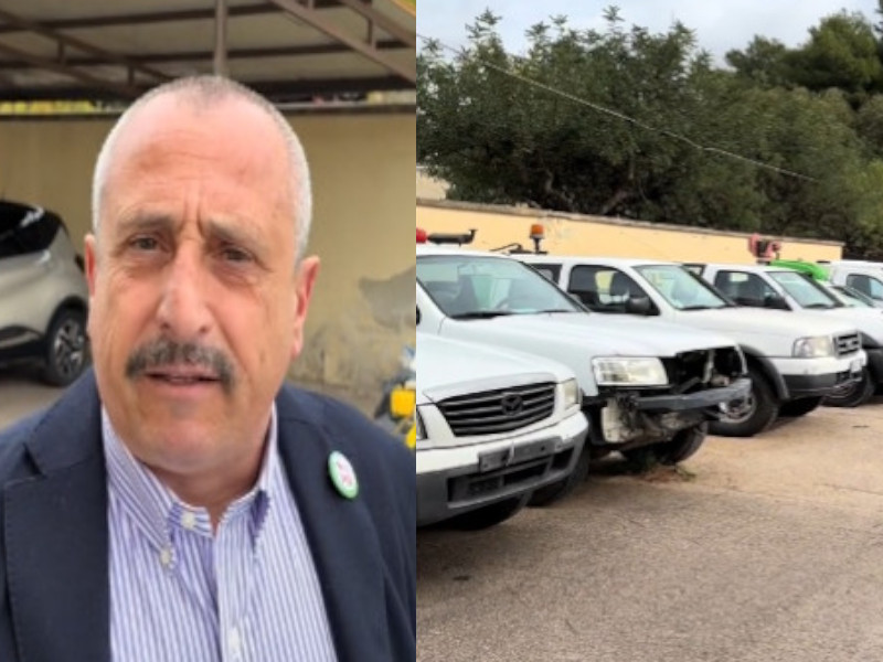 Cagliari, la denuncia: “Soldi per il centro antinsetti dalla città metropolitana solo alla Proservice, Truzzu che dice?”