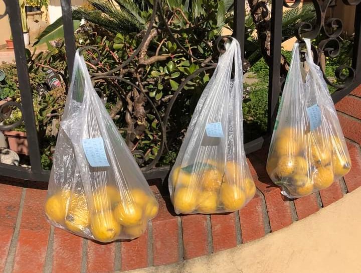 Assemini, buste con limoni appese a una ringhiera e a disposizione di tutti