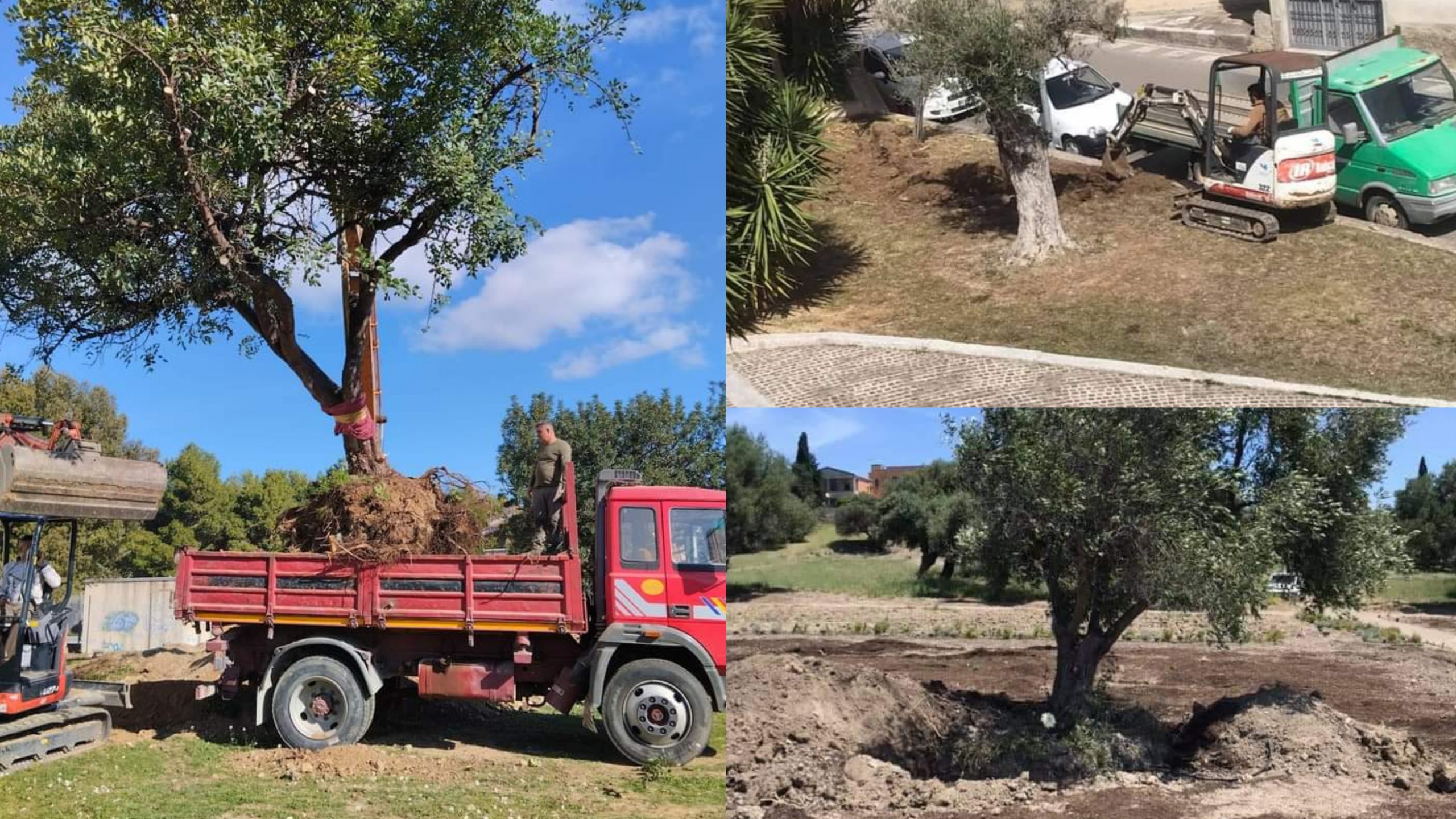 Ruspe e camion in azione a Settimo San Pietro, il movimento a tutela del verde si allarma