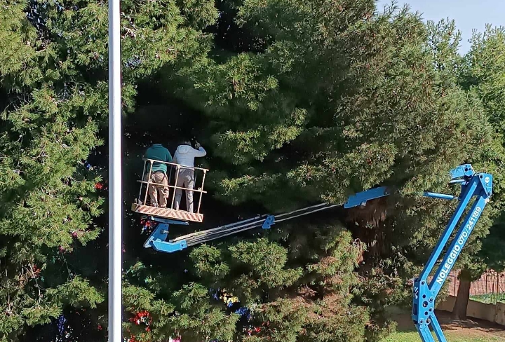 Cagliari, storia a lieto fine per la gattina di via Schiavazzi: è stata recuperata dopo giorni di appostamenti