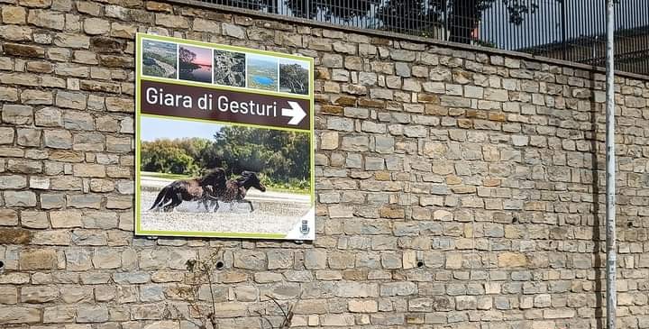 Gesturi, il nuovo cartello segnaletico per la Giara ha come immagine i cavallini