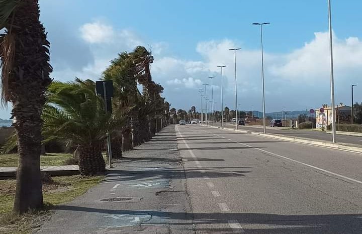 Quartu, turista perde il cellulare e lo ritrova appeso a una palma al Poetto