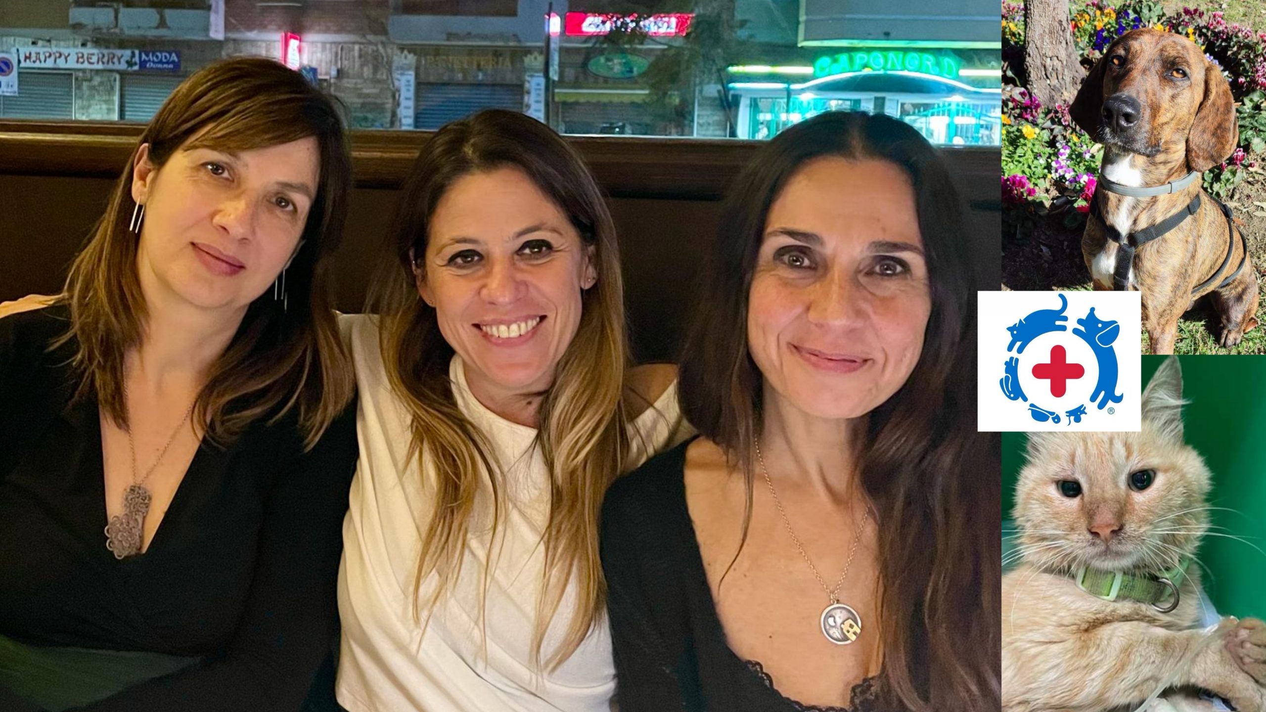 Monserrato, allarme per gli amici a quattro zampe: il servizio veterinario h24 rischia di chiudere