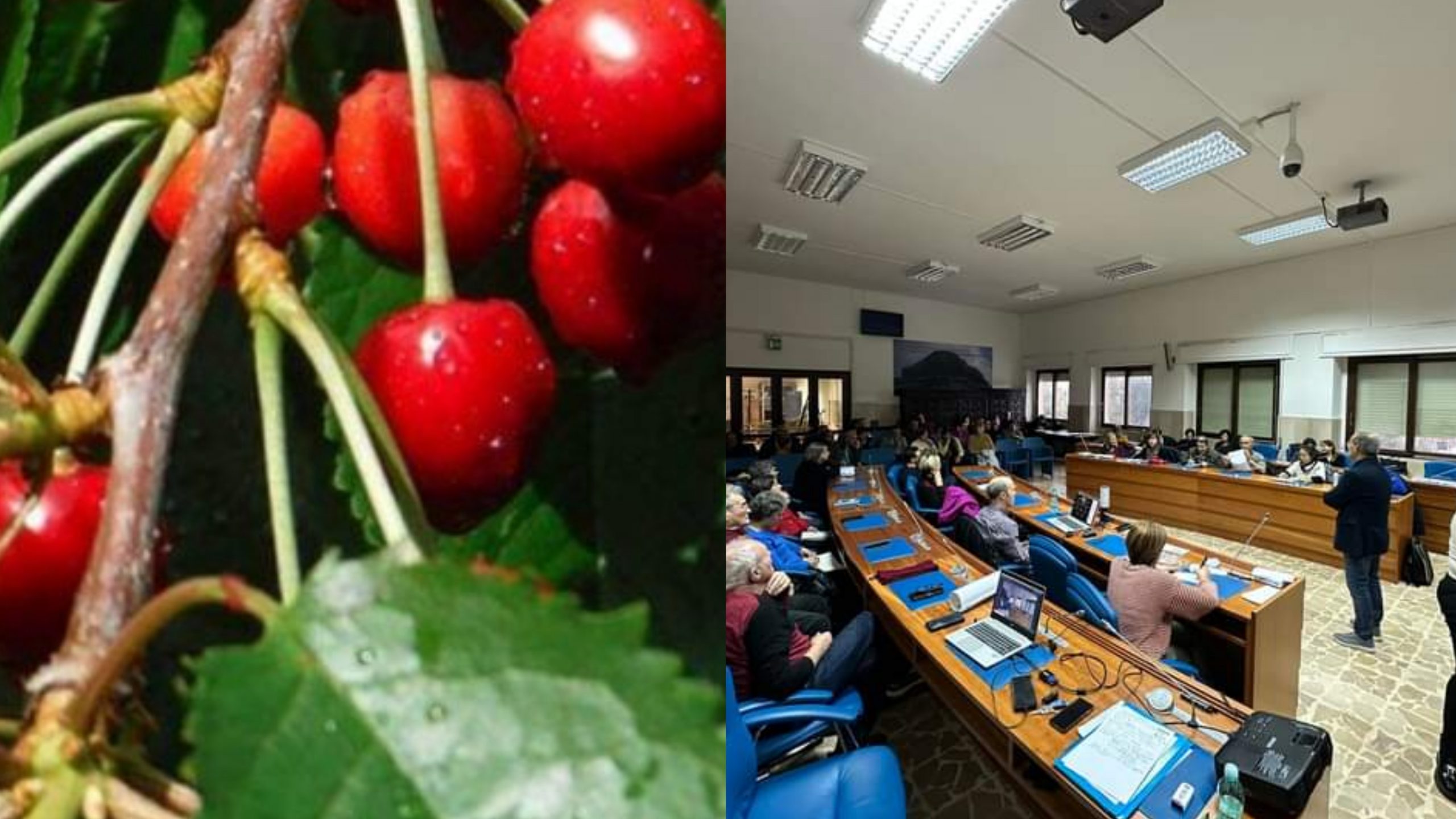 Villacidro, il Comune aderisce alla Comunità di tutela del cibo della Sardegna Sud Occidentale