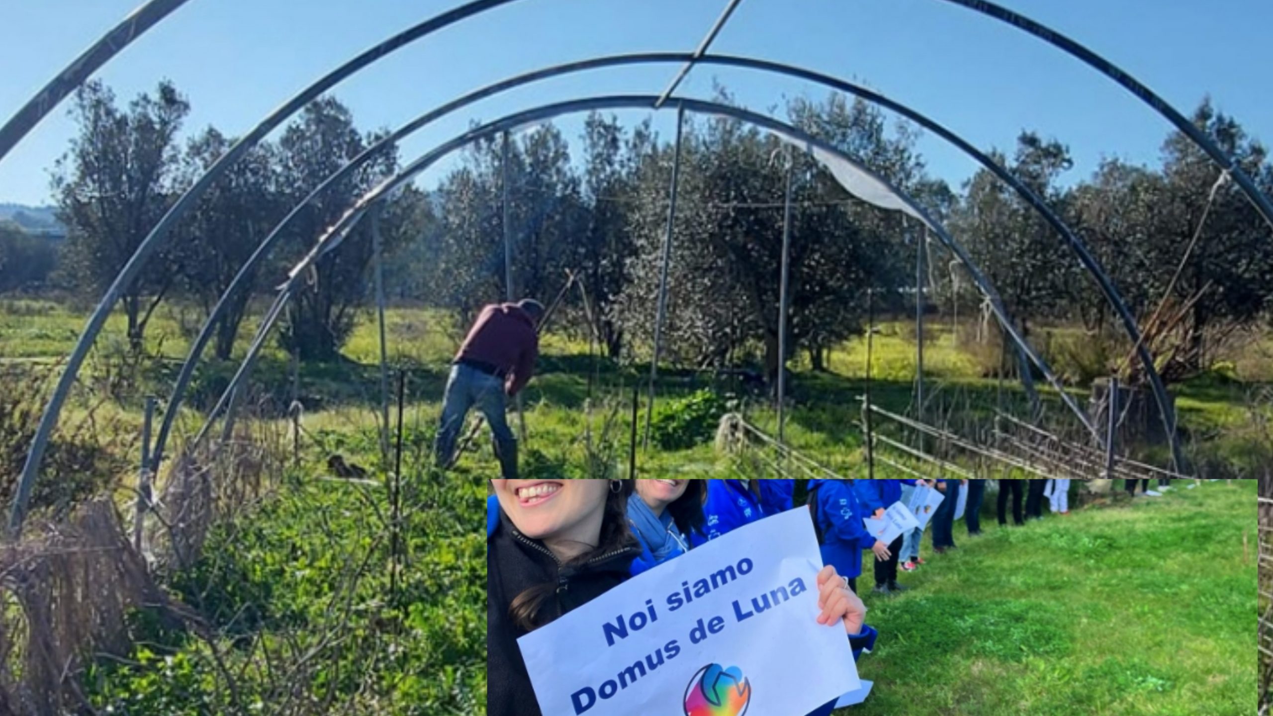 Cagliari, Domus de Luna compie 19 anni