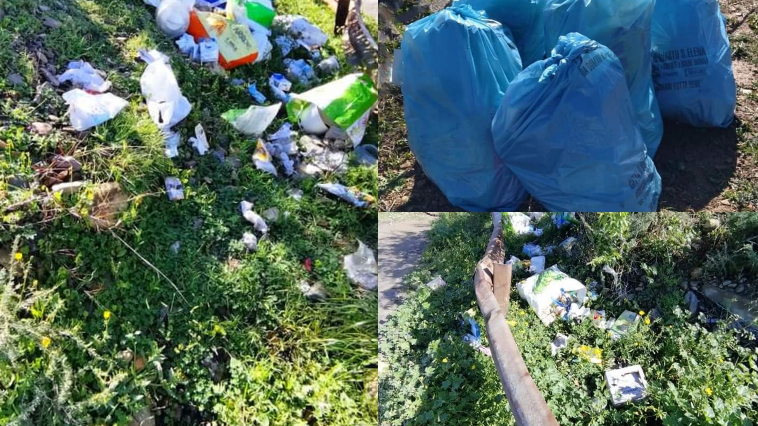 A Quartu Sant’Elena scatole con cibo buttate in mezzo all’erba