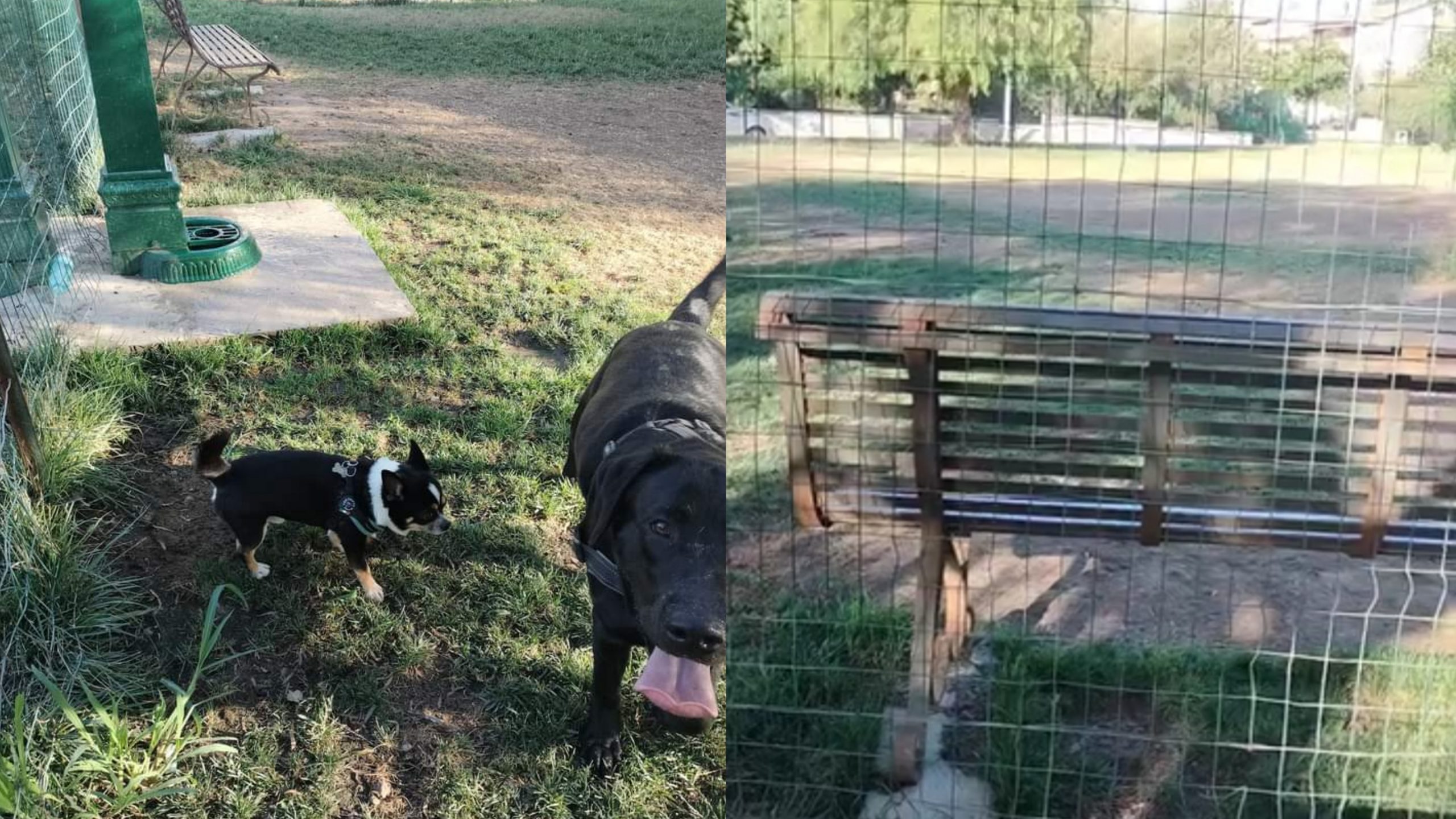 Monserrato, nuova recinzione nell’area cani di via Galileo