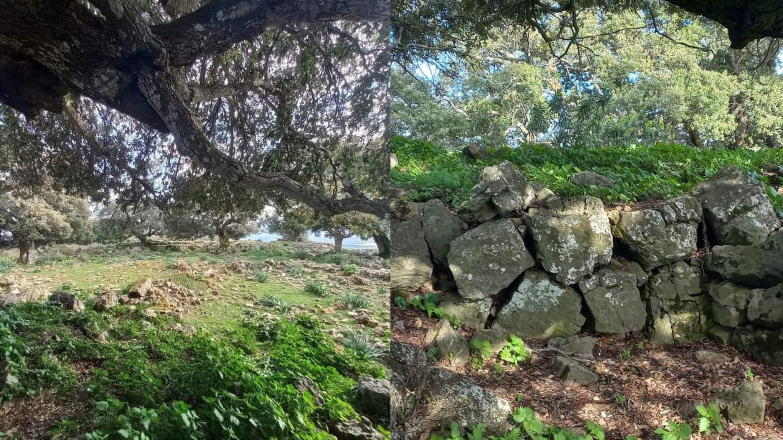 Lotta alla speculazione energetica, a Esterzili scendono in campo anche gli anziani