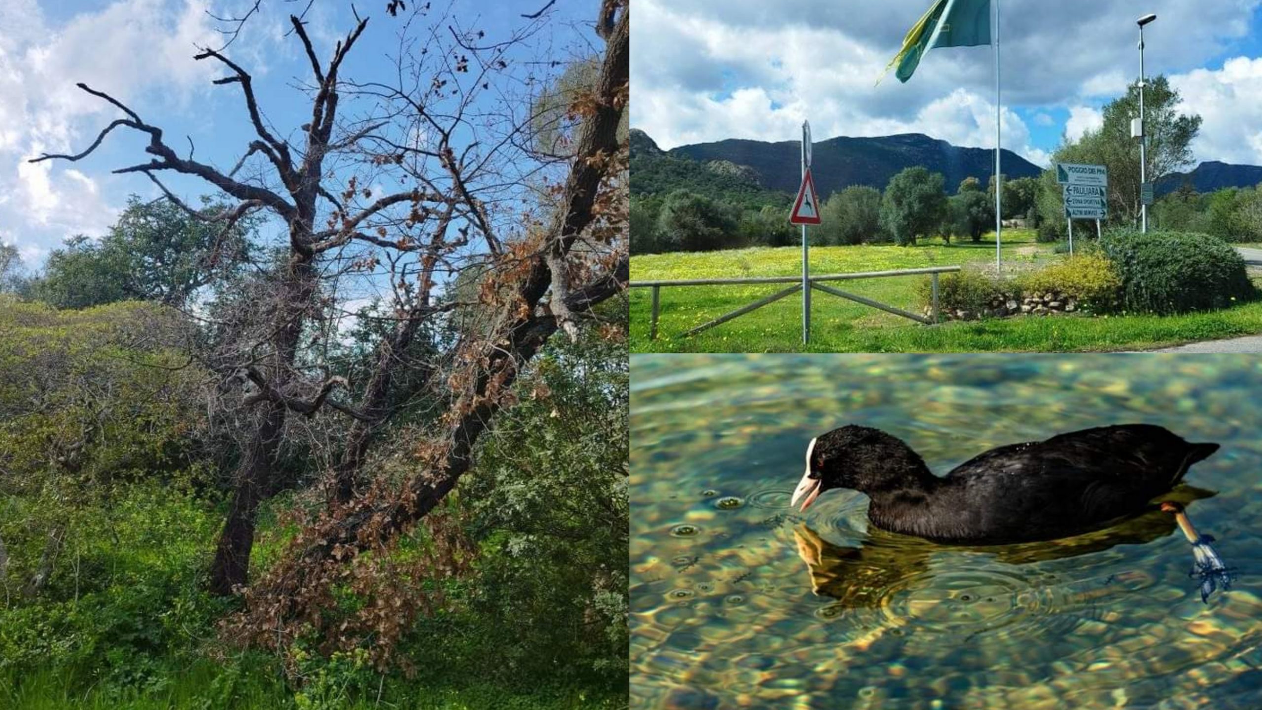 Capoterra, una colletta per realizzare dei pozzi e ammortizzare i costi dell’acqua