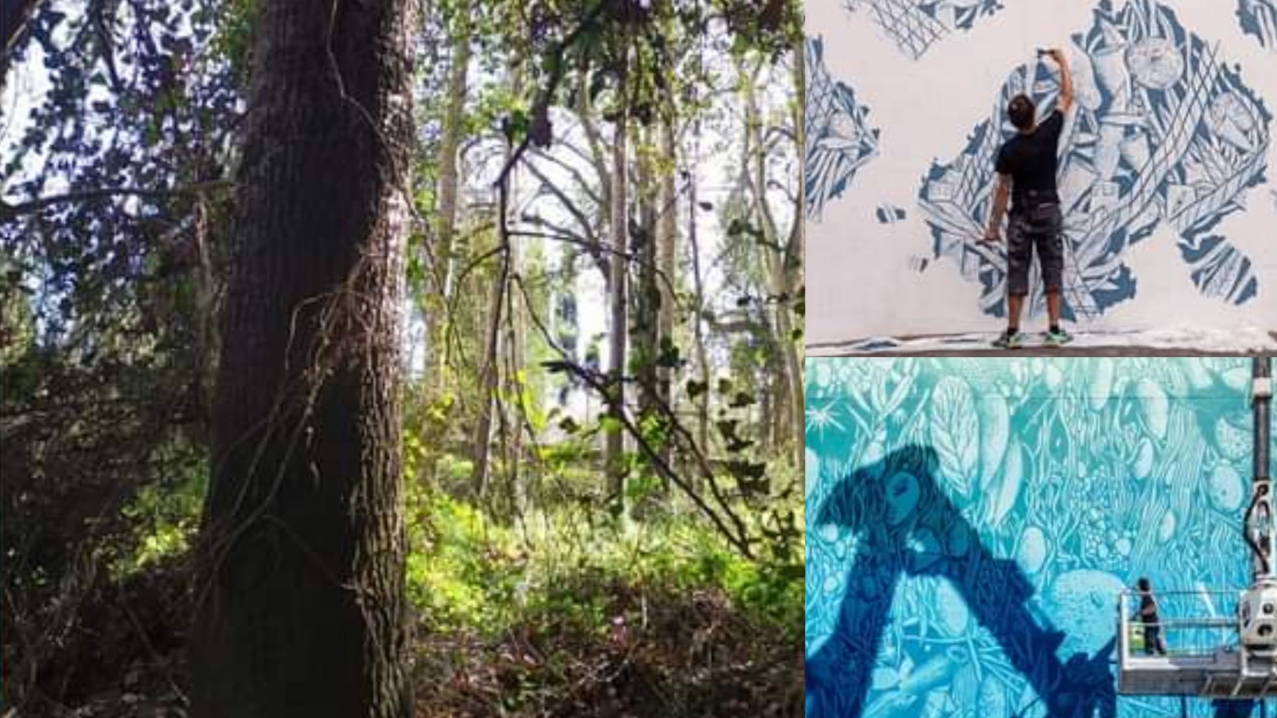 San Sperate, il bosco di Pixinortu diventa arte